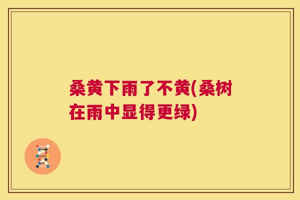 桑黄下雨了不黄(桑树在雨中显得更绿) 桑黄下雨了不黄(桑树在雨中显得更绿)