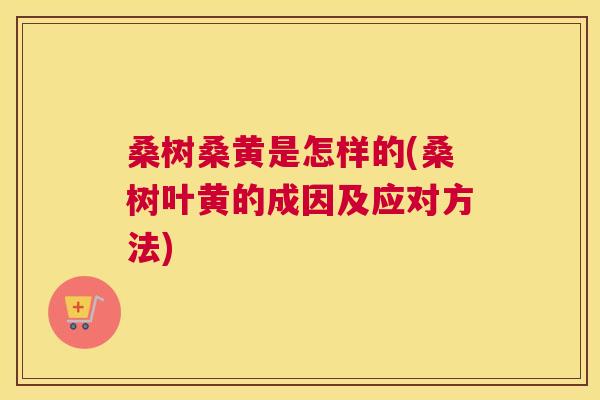 桑树桑黄是怎样的(桑树叶黄的成因及应对方法) 桑树桑黄是怎样的(桑树叶黄的成因及应对方法)