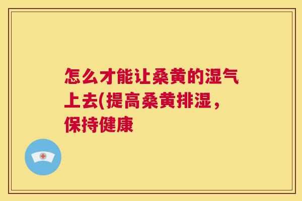 怎么才能让桑黄的湿气上去(提高桑黄排湿，保持健康