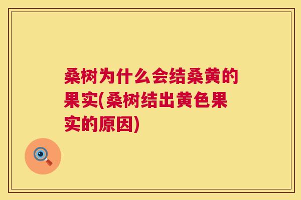 桑树为什么会结桑黄的果实(桑树结出黄色果实的原因) 桑树为什么会结桑黄的果实(桑树结出黄色果实的原因)