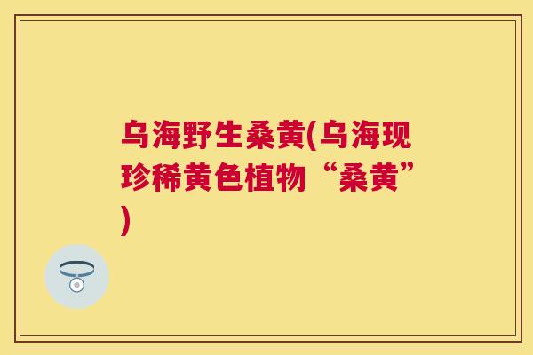 乌海野生桑黄(乌海现珍稀黄色植物“桑黄”) 乌海野生桑黄(乌海现珍稀黄色植物“桑黄”)