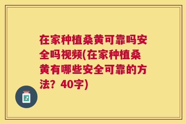 在家种植桑黄可靠吗安全吗视频(在家种植桑黄有哪些安全可靠的方法?40字) 在家种植桑黄可靠吗安全吗视频(在家种植桑黄有哪些安全可靠的方法?40字)