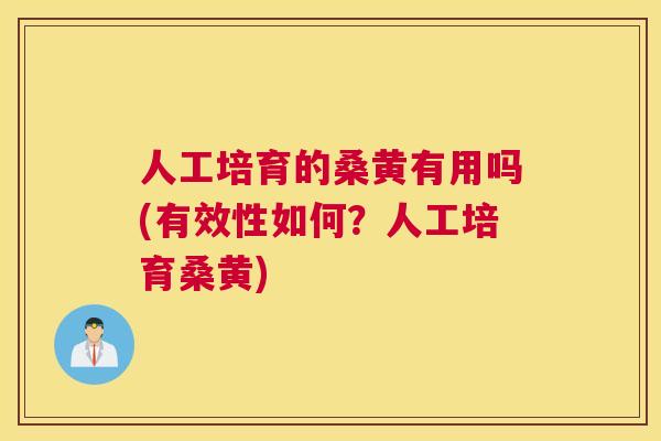 人工培育的桑黄有用吗(有效性如何?人工培育桑黄) 人工培育的桑黄有用吗(有效性如何?人工培育桑黄)