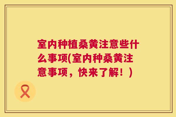 室内种植桑黄注意些什么事项(室内种桑黄注意事项,快来了解!) 室内种植桑黄注意些什么事项(室内种桑黄注意事项,快来了解!)