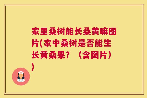 家里桑树能长桑黄嘛图片(家中桑树是否能生长黄桑果?(含图片)) 家里桑树能长桑黄嘛图片(家中桑树是否能生长黄桑果?(含图片))