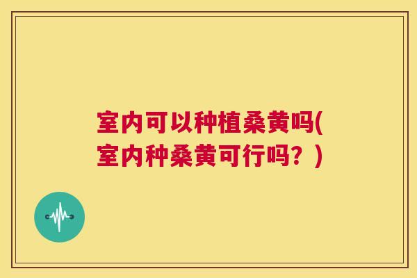 室内可以种植桑黄吗(室内种桑黄可行吗?) 室内可以种植桑黄吗(室内种桑黄可行吗?)