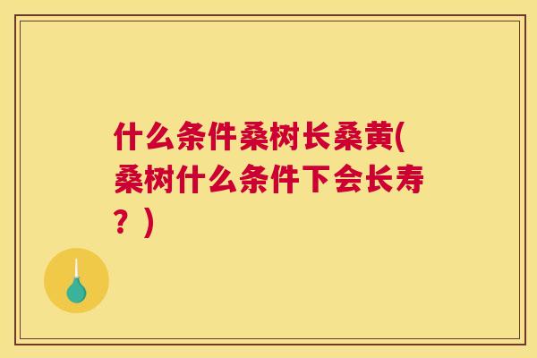 什么条件桑树长桑黄(桑树什么条件下会长寿?) 什么条件桑树长桑黄(桑树什么条件下会长寿?)