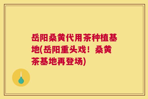 岳阳桑黄代用茶种植基地(岳阳重头戏!桑黄茶基地再登场) 岳阳桑黄代用茶种植基地(岳阳重头戏!桑黄茶基地再登场)