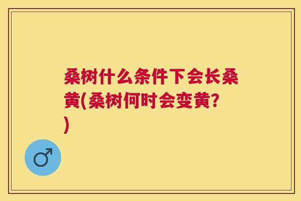 桑树什么条件下会长桑黄(桑树何时会变黄?) 桑树什么条件下会长桑黄(桑树何时会变黄?)