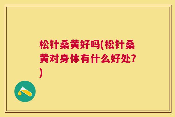 松针桑黄好吗(松针桑黄对身体有什么好处?) 松针桑黄好吗(松针桑黄对身体有什么好处?)
