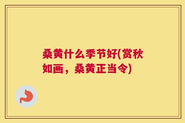 桑黄什么季节好(赏秋如画，桑黄正当令)