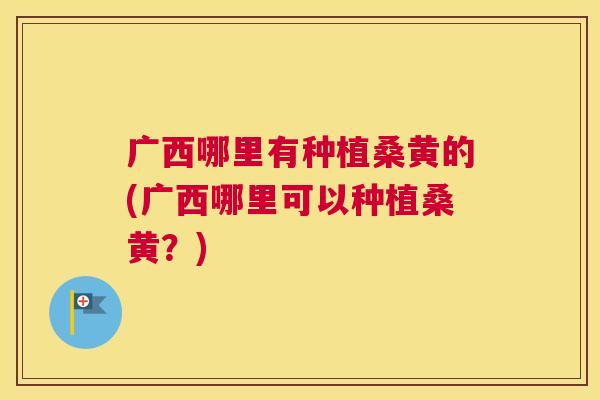 广西哪里有种植桑黄的(广西哪里可以种植桑黄?) 广西哪里有种植桑黄的(广西哪里可以种植桑黄?)