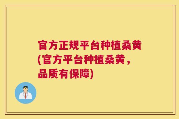 官方正规平台种植桑黄(官方平台种植桑黄,品质有保障) 官方正规平台种植桑黄(官方平台种植桑黄,品质有保障)