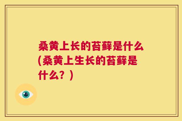 桑黄上长的苔藓是什么(桑黄上生长的苔藓是什么?) 桑黄上长的苔藓是什么(桑黄上生长的苔藓是什么?)