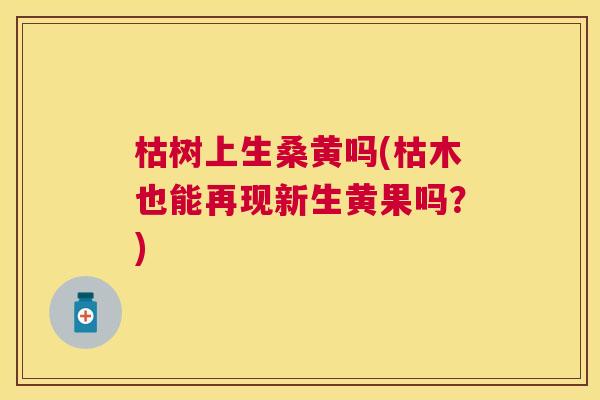 枯树上生桑黄吗(枯木也能再现新生黄果吗?) 枯树上生桑黄吗(枯木也能再现新生黄果吗?)