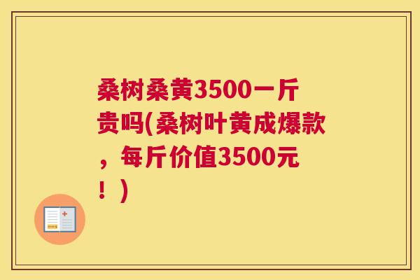 桑树桑黄3500一斤贵吗(桑树叶黄成爆款,每斤价值3500元!) 桑树桑黄3500一斤贵吗(桑树叶黄成爆款,每斤价值3500元!)
