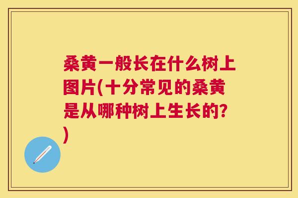 桑黄一般长在什么树上图片(十分常见的桑黄是从哪种树上生长的？)