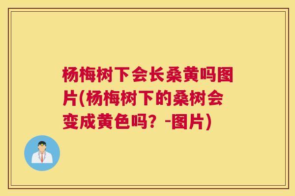 杨梅树下会长桑黄吗图片(杨梅树下的桑树会变成黄色吗?-图片) 杨梅树下会长桑黄吗图片(杨梅树下的桑树会变成黄色吗?-图片)