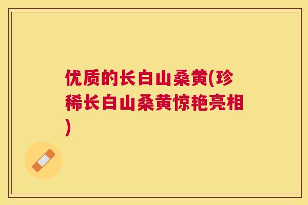 优质的长白山桑黄(珍稀长白山桑黄惊艳亮相) 优质的长白山桑黄(珍稀长白山桑黄惊艳亮相)