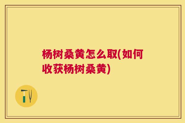 杨树桑黄怎么取(如何收获杨树桑黄) 杨树桑黄怎么取(如何收获杨树桑黄)