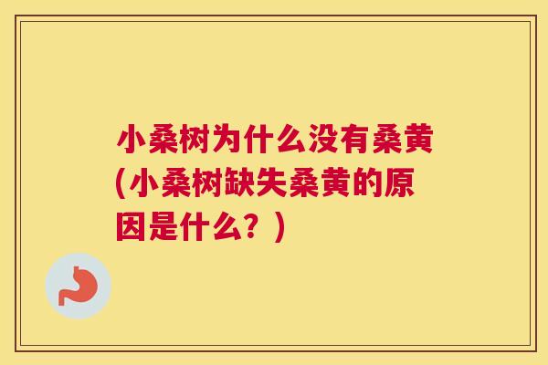 小桑树为什么没有桑黄(小桑树缺失桑黄的原因是什么?) 小桑树为什么没有桑黄(小桑树缺失桑黄的原因是什么?)