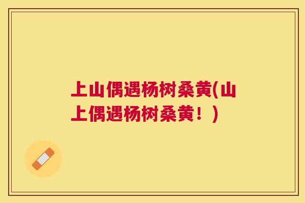 上山偶遇杨树桑黄(山上偶遇杨树桑黄!) 上山偶遇杨树桑黄(山上偶遇杨树桑黄!)