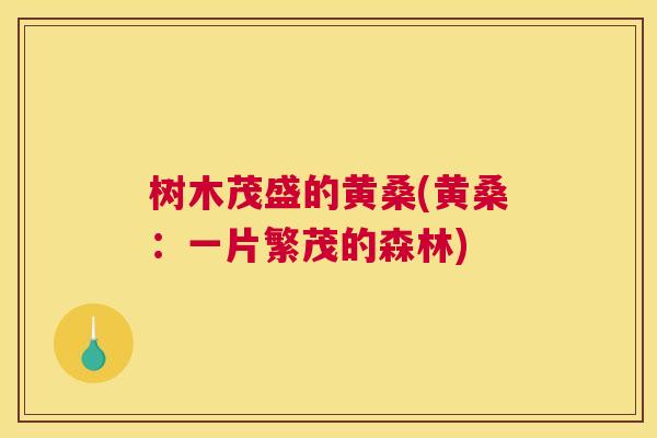 树木茂盛的黄桑(黄桑：一片繁茂的森林)