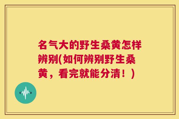 名气大的野生桑黄怎样辨别(如何辨别野生桑黄,看完就能分清!) 名气大的野生桑黄怎样辨别(如何辨别野生桑黄,看完就能分清!)
