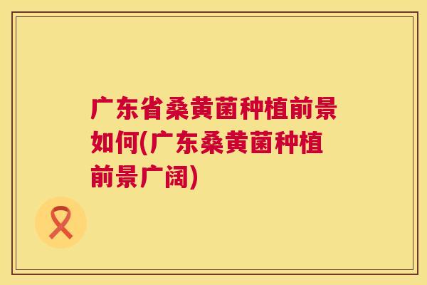 广东省桑黄菌种植前景如何(广东桑黄菌种植前景广阔) 广东省桑黄菌种植前景如何(广东桑黄菌种植前景广阔)