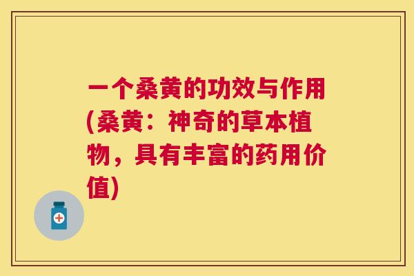 一个桑黄的功效与作用(桑黄:神奇的草本植物,具有丰富的药用价值) 一个桑黄的功效与作用(桑黄:神奇的草本植物,具有丰富的药用价值)