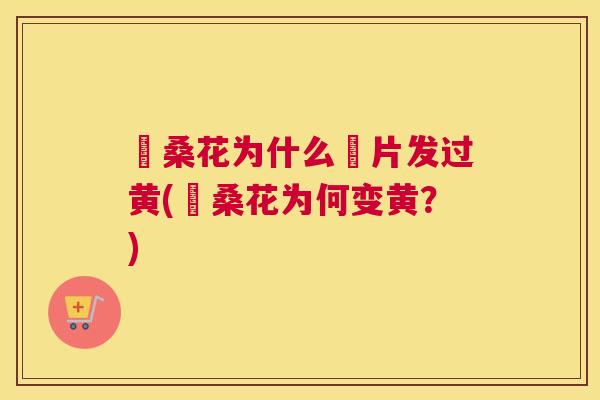 枎桑花为什么枼片发过黄(枎桑花为何变黄?) 枎桑花为什么枼片发过黄(枎桑花为何变黄?)