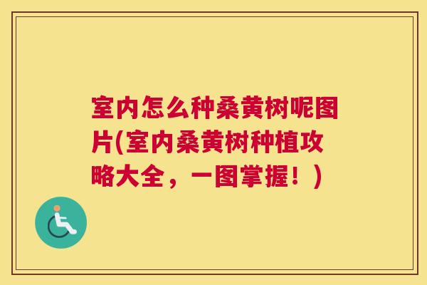室内怎么种桑黄树呢图片(室内桑黄树种植攻略大全,一图掌握!) 室内怎么种桑黄树呢图片(室内桑黄树种植攻略大全,一图掌握!)