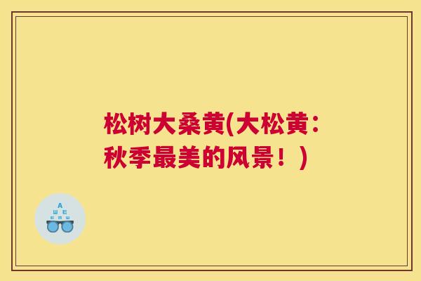 松树大桑黄(大松黄:秋季美的风景!) 松树大桑黄(大松黄:秋季美的风景!)