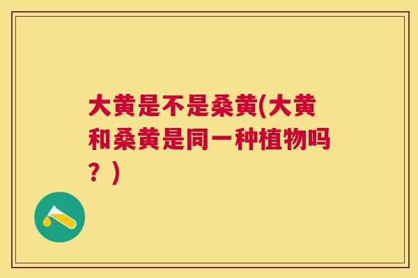 大黄是不是桑黄(大黄和桑黄是同一种植物吗?) 大黄是不是桑黄(大黄和桑黄是同一种植物吗?)