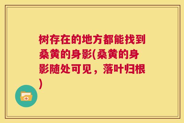 树存在的地方都能找到桑黄的身影(桑黄的身影随处可见,落叶归根) 树存在的地方都能找到桑黄的身影(桑黄的身影随处可见,落叶归根)