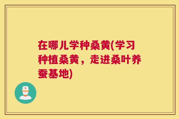 在哪儿学种桑黄(学习种植桑黄,走进桑叶养蚕基地) 在哪儿学种桑黄(学习种植桑黄,走进桑叶养蚕基地)