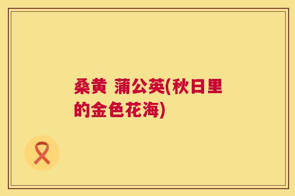 桑黄 蒲公英(秋日里的金色花海) 桑黄 蒲公英(秋日里的金色花海)