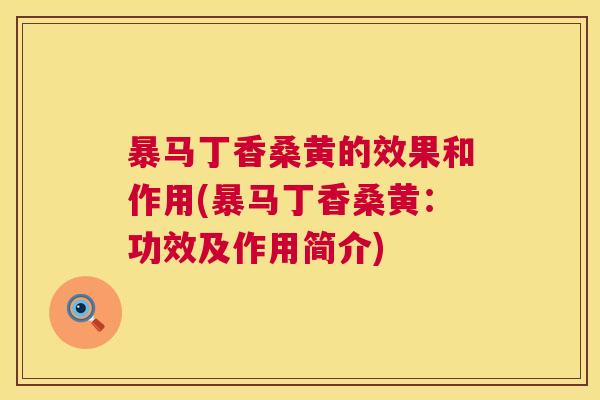 暴马丁香桑黄的效果和作用(暴马丁香桑黄:功效及作用简介) 暴马丁香桑黄的效果和作用(暴马丁香桑黄:功效及作用简介)