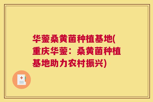 华蓥桑黄菌种植基地(重庆华蓥:桑黄菌种植基地助力农村振兴) 华蓥桑黄菌种植基地(重庆华蓥:桑黄菌种植基地助力农村振兴)