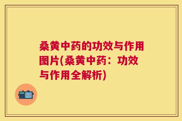 桑黄的功效与作用图片(桑黄:功效与作用全解析) 桑黄的功效与作用图片(桑黄:功效与作用全解析)
