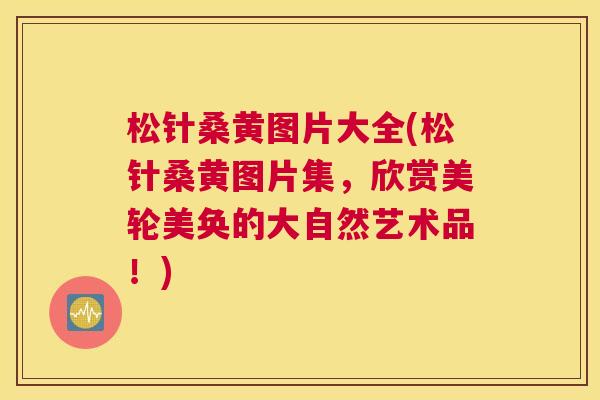 松针桑黄图片大全(松针桑黄图片集,欣赏美轮美奂的大自然艺术品!) 松针桑黄图片大全(松针桑黄图片集,欣赏美轮美奂的大自然艺术品!)
