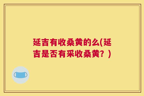 延吉有收桑黄的么(延吉是否有采收桑黄?) 延吉有收桑黄的么(延吉是否有采收桑黄?)