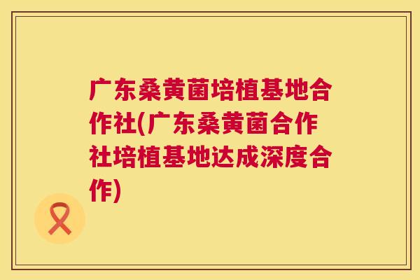 广东桑黄菌培植基地合作社(广东桑黄菌合作社培植基地达成深度合作) 广东桑黄菌培植基地合作社(广东桑黄菌合作社培植基地达成深度合作)
