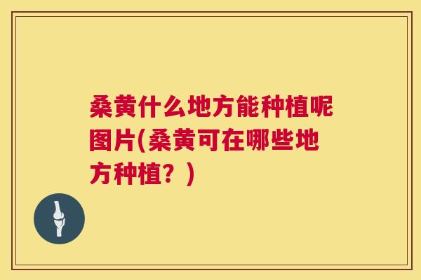 桑黄什么地方能种植呢图片(桑黄可在哪些地方种植?) 桑黄什么地方能种植呢图片(桑黄可在哪些地方种植?)