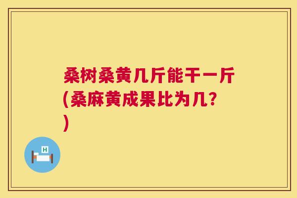 桑树桑黄几斤能干一斤(桑麻黄成果比为几?) 桑树桑黄几斤能干一斤(桑麻黄成果比为几?)