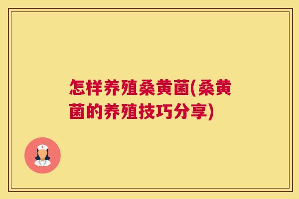 怎样养殖桑黄菌(桑黄菌的养殖技巧分享) 怎样养殖桑黄菌(桑黄菌的养殖技巧分享)