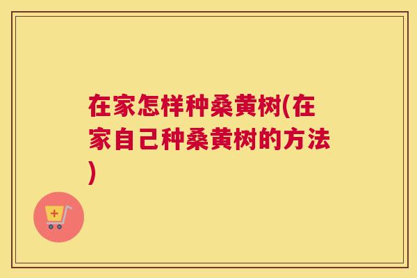 在家怎样种桑黄树(在家自己种桑黄树的方法) 在家怎样种桑黄树(在家自己种桑黄树的方法)