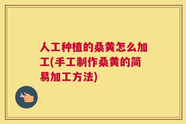 人工种植的桑黄怎么加工(手工制作桑黄的简易加工方法) 人工种植的桑黄怎么加工(手工制作桑黄的简易加工方法)