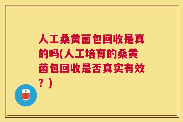 人工桑黄菌包回收是真的吗(人工培育的桑黄菌包回收是否真实有效?) 人工桑黄菌包回收是真的吗(人工培育的桑黄菌包回收是否真实有效?)