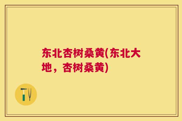 东北杏树桑黄(东北大地,杏树桑黄) 东北杏树桑黄(东北大地,杏树桑黄)
